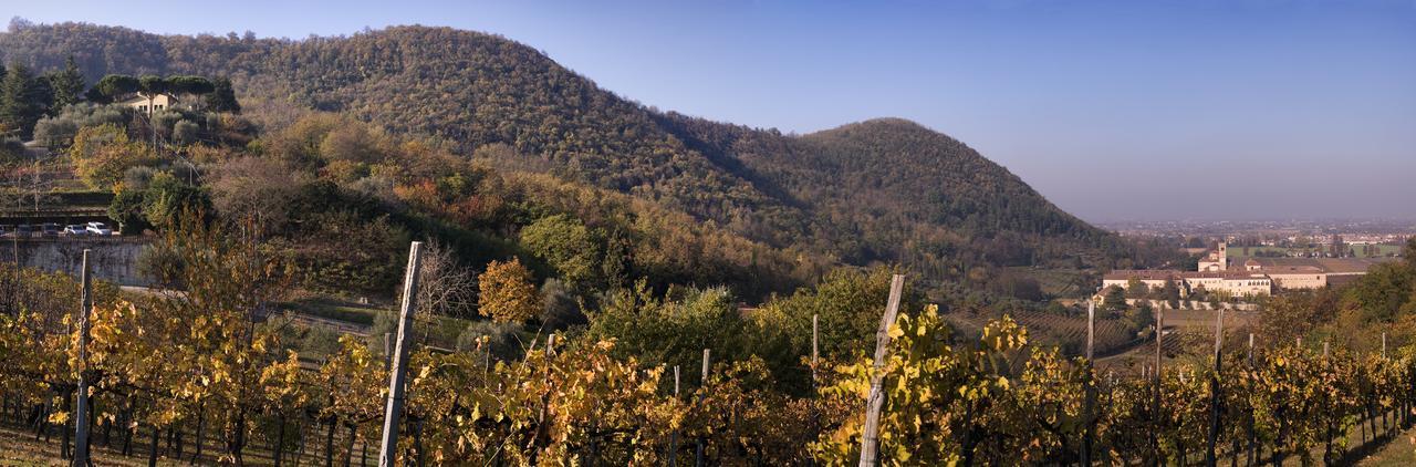 Fattoria Busa Dell'Oro Monte Ortone Exterior foto