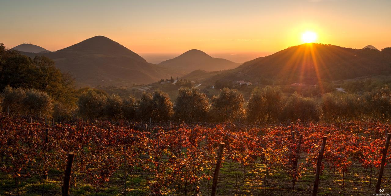 Fattoria Busa Dell'Oro Monte Ortone Exterior foto